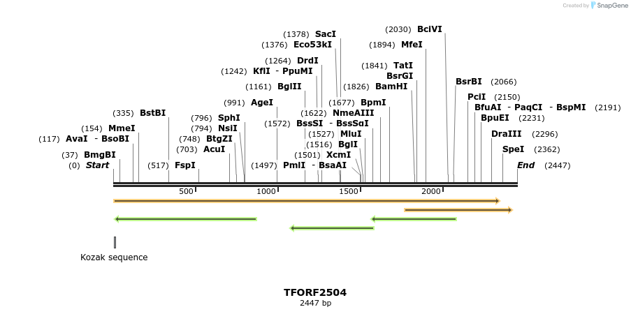 285330_map