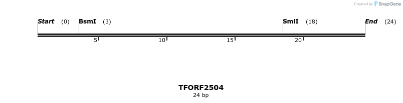 285331_map