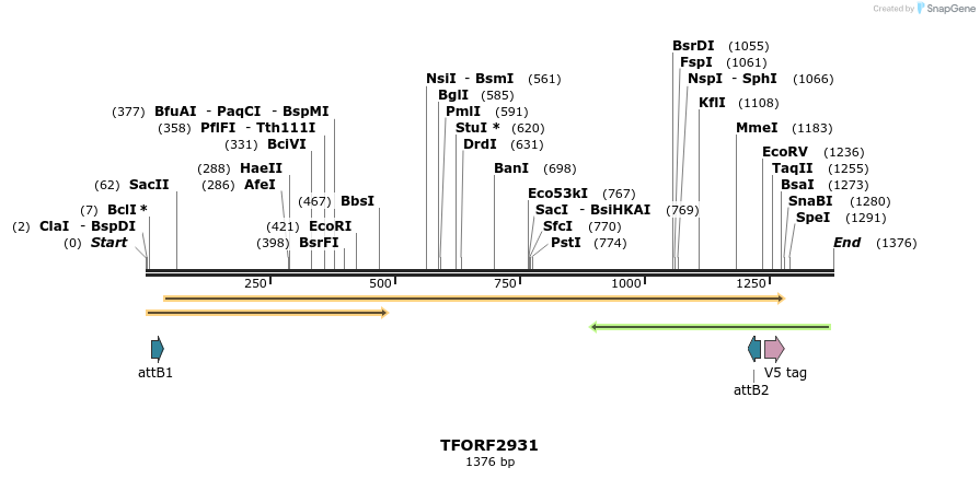 285336_map