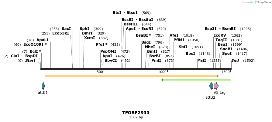 285342_map