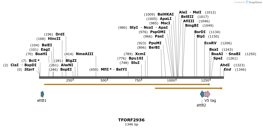 285351_map