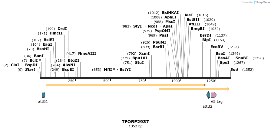 285354_map