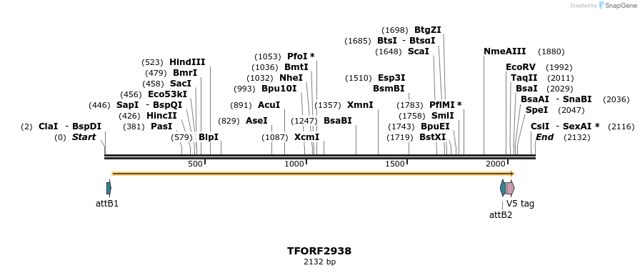 285357_map