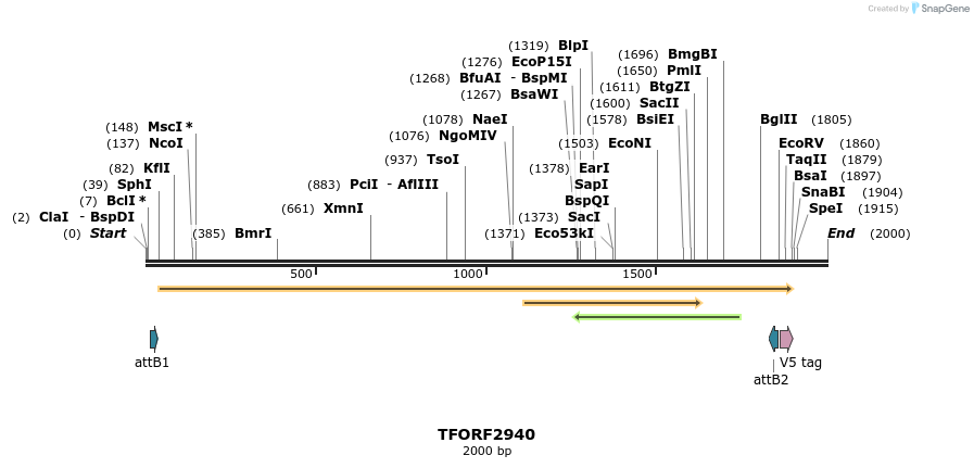 285363_map