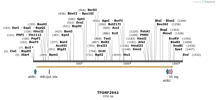 285369_map