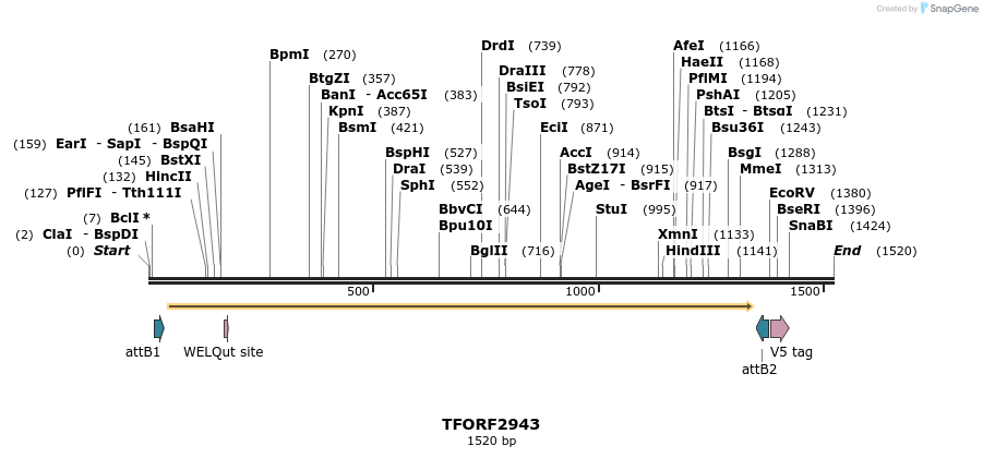 285372_map
