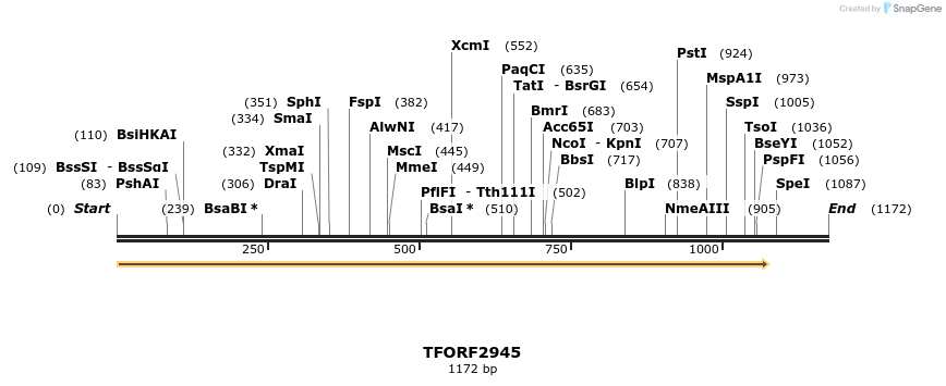285378_map