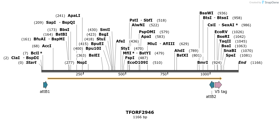 285381_map