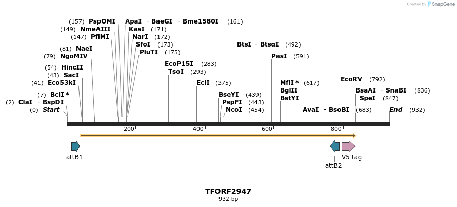 285384_map