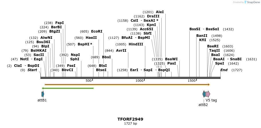 285390_map
