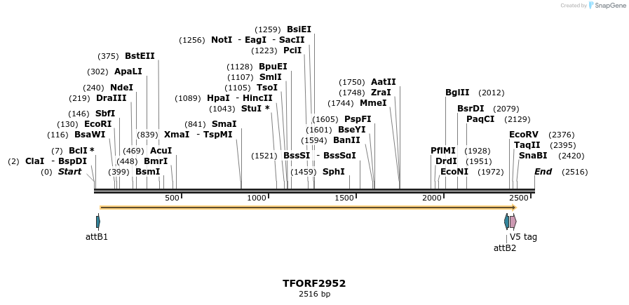 285399_map