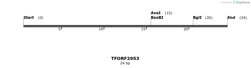 285403_map