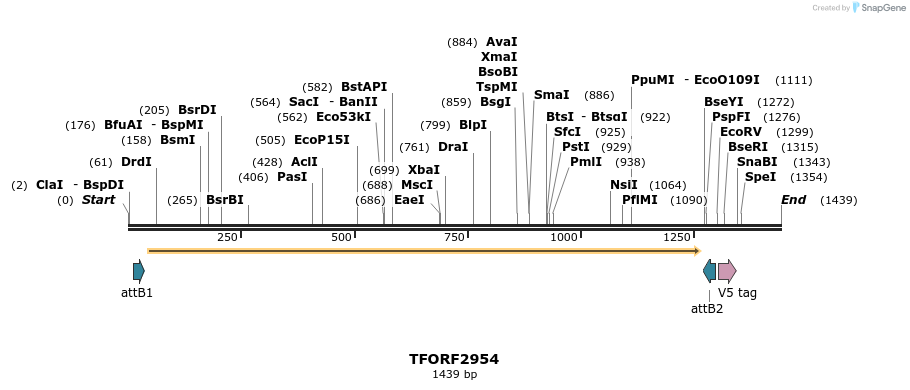 285405_map