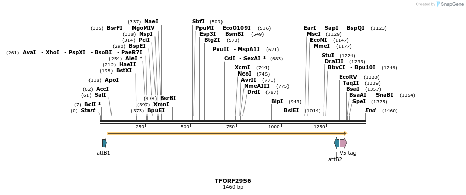 285411_map