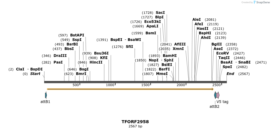 285417_map