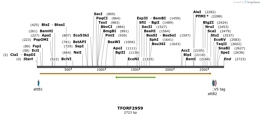 285420_map