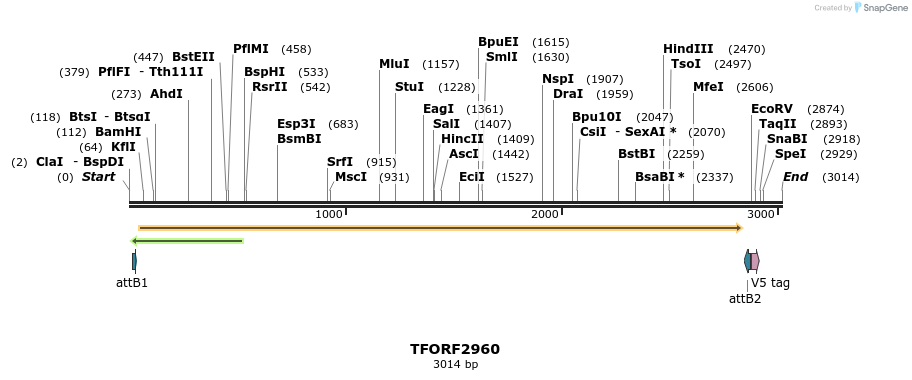 285423_map