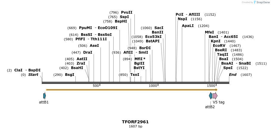 285426_map