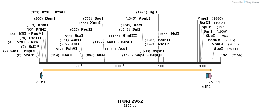 285429_map
