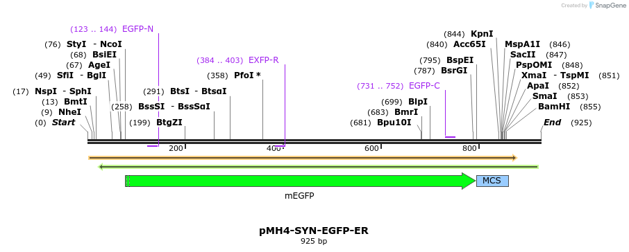 28543_map
