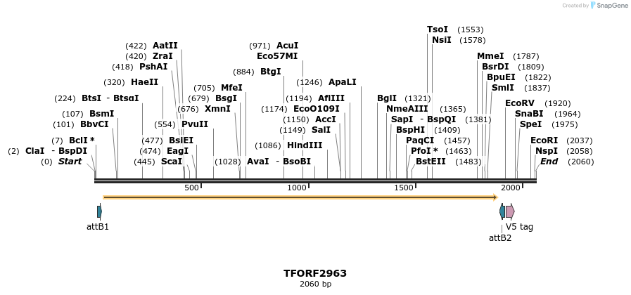 285432_map