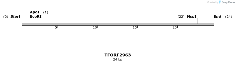285433_map