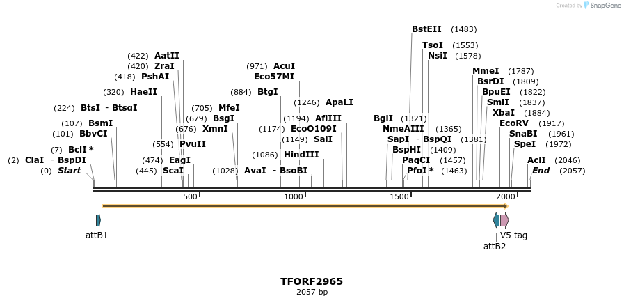 285438_map