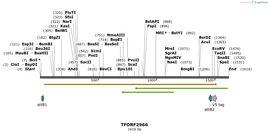 285441_map