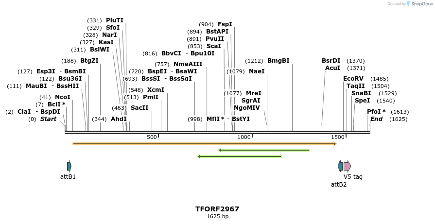 285444_map