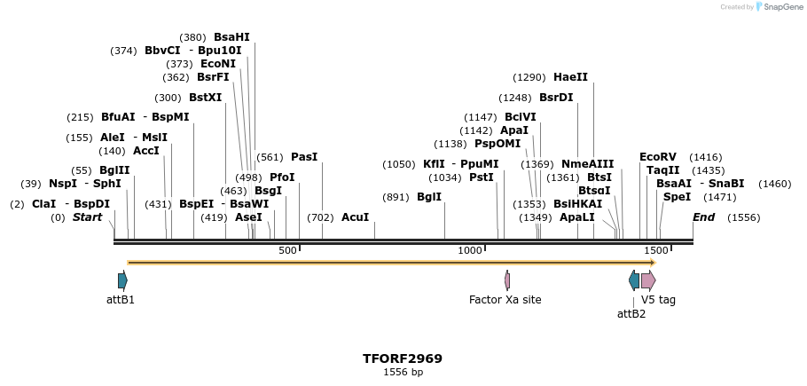 285450_map