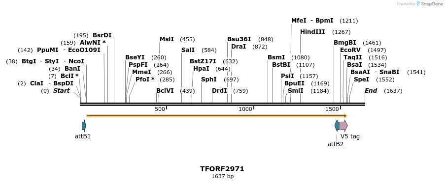 285456_map