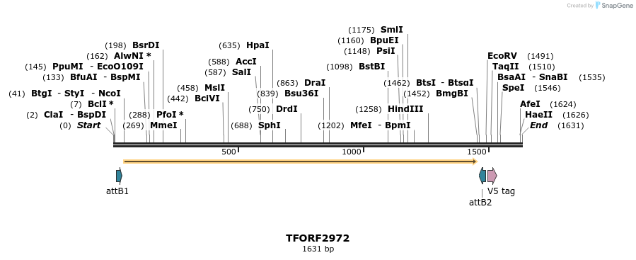 285459_map
