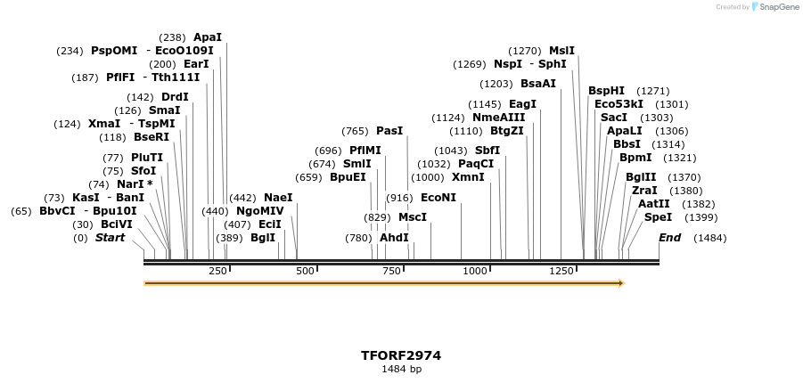 285465_map