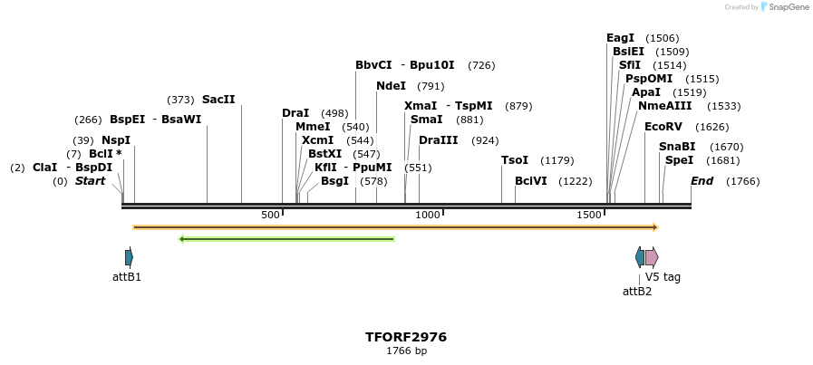 285471_map