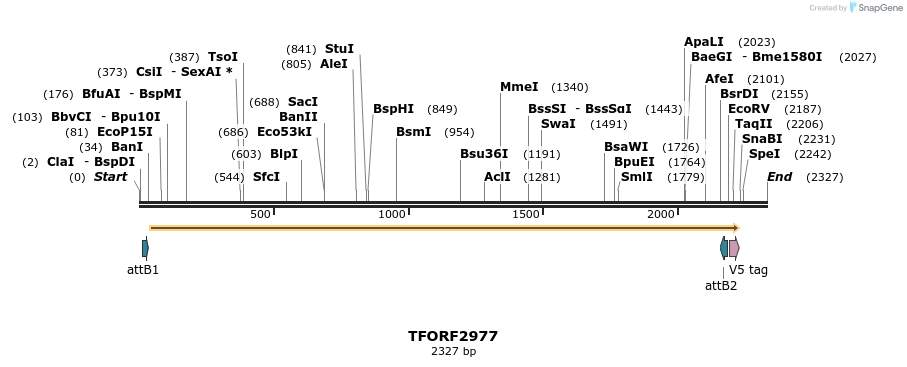 285474_map