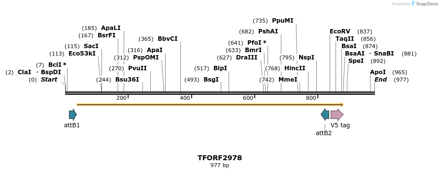 285477_map