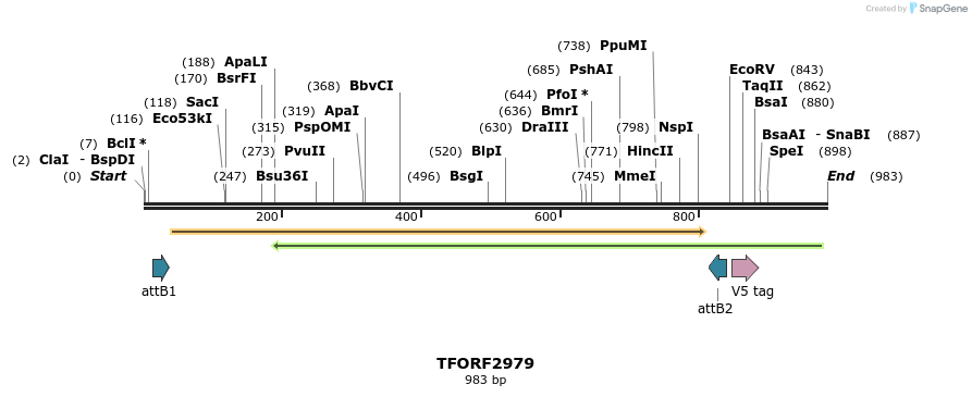 285480_map