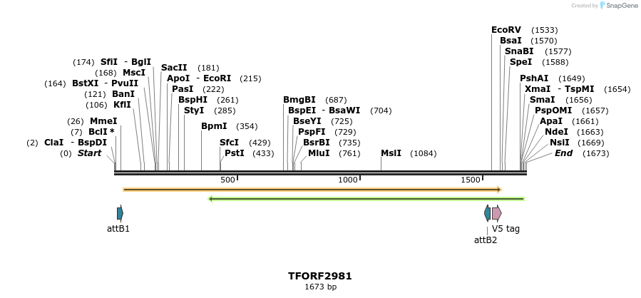 285486_map