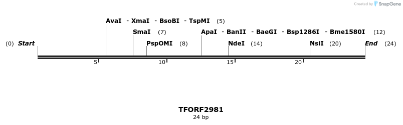 285487_map