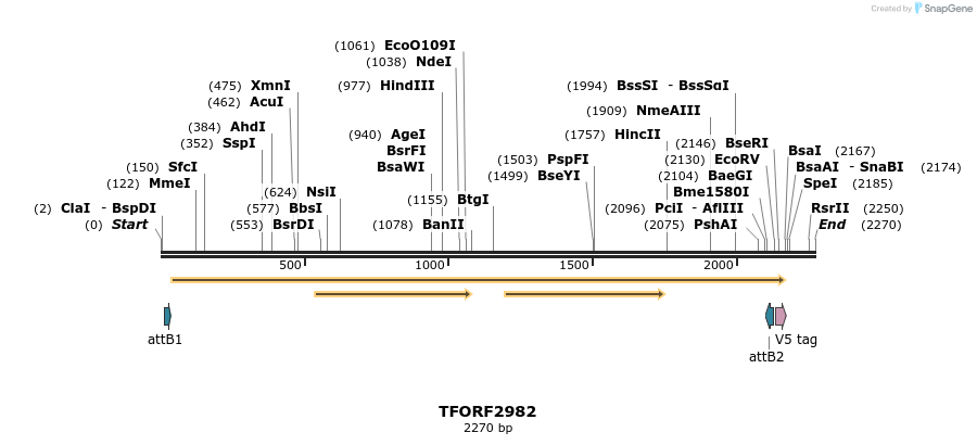 285489_map