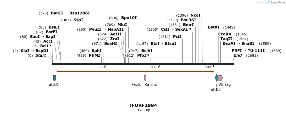 285495_map