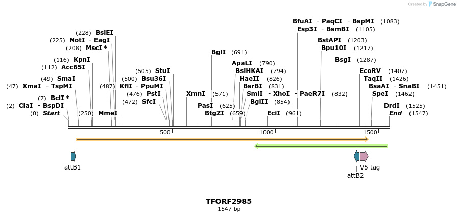 285498_map