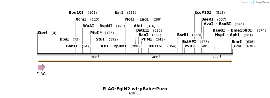 28550_map