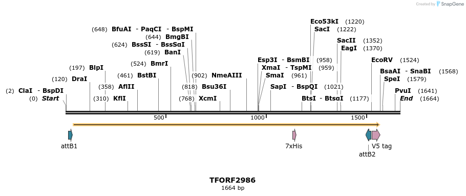 285501_map