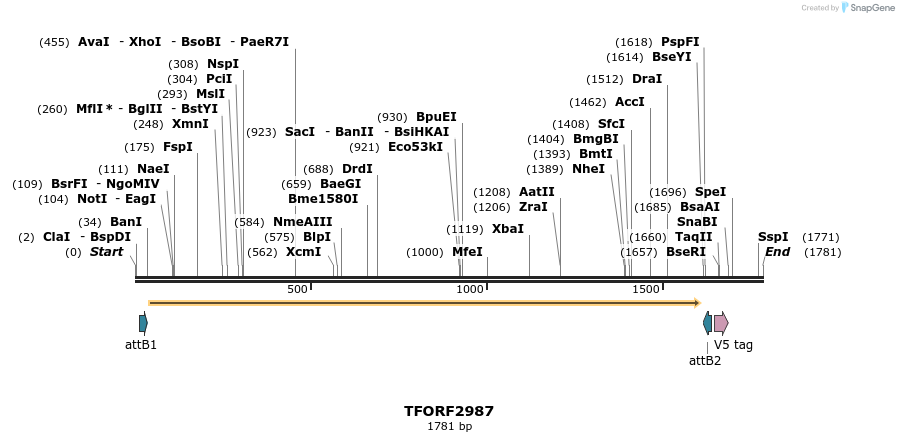285504_map