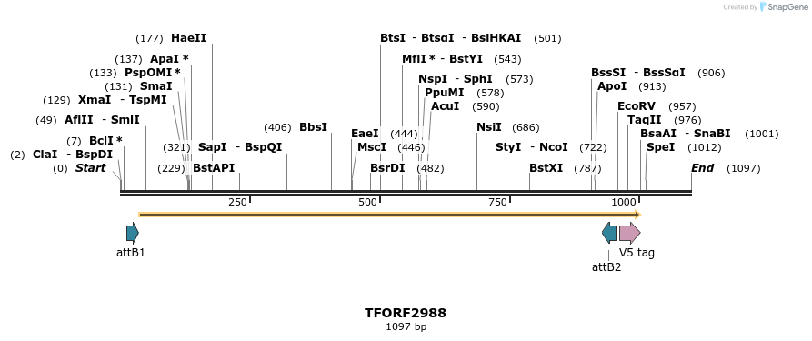 285507_map