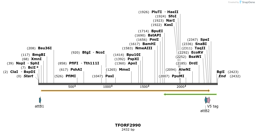 285513_map