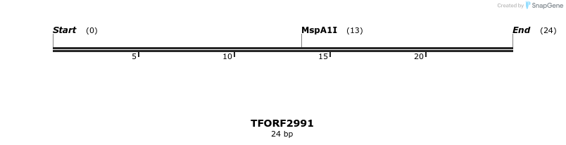 285517_map
