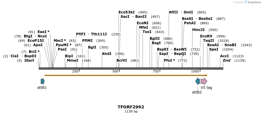285519_map
