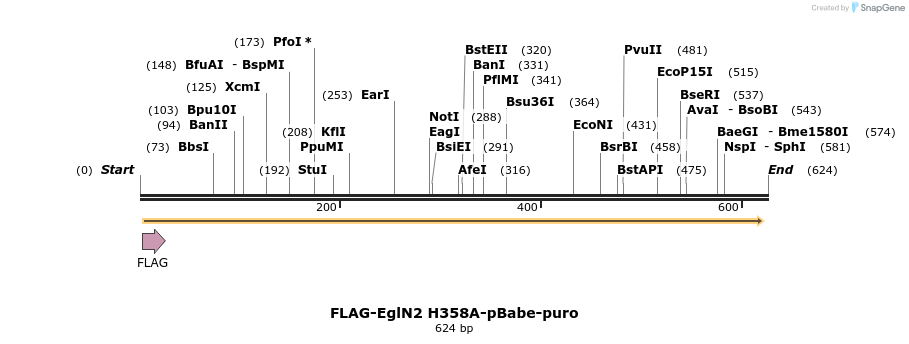 28552_map